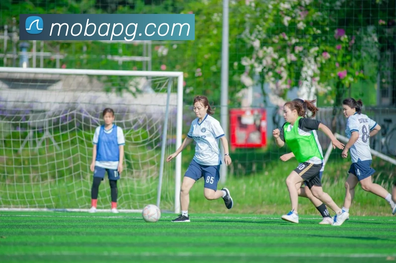 pg官网服务体系